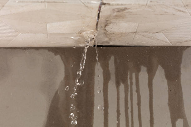Professional Flood Damage Cleanup technician working in Arlington, MN